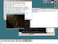 MPlayer en OpenDarwin