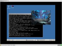 MPlayer en ReactOS