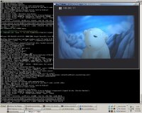 MPlayer en Windows XP